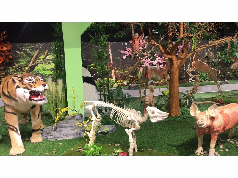 動物剝制仿生標(biāo)本